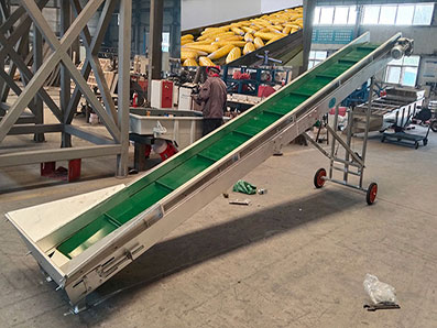 Conveyor belt for agriculture