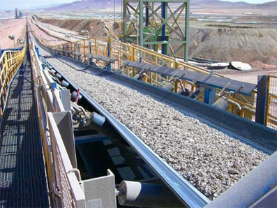 Steel cord conveyor belt