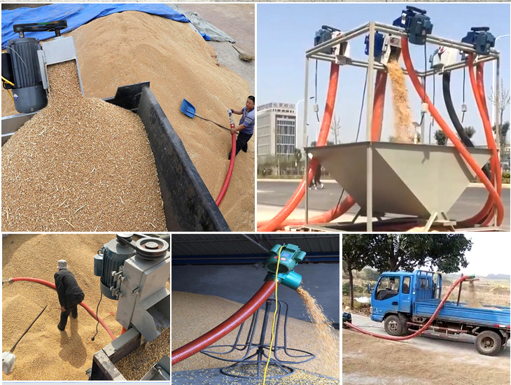 Application of wheat grain suction machine