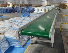 Small belt conveyor for bagged flour