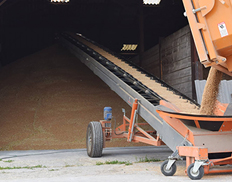 Wheat Processing Plant